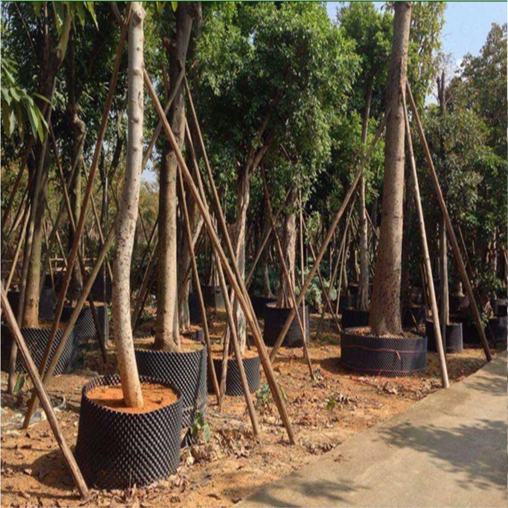 Maceta de cultivo para árboles - Outdoor Furniture Metal reseña y precio
